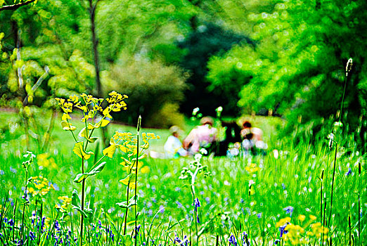 英格兰,伦敦,基尤花园,野餐,场景