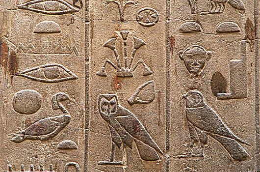 象形文字,文字,浮雕,新,卢克索神庙,埃及