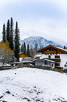 被雪覆盖的乡村小木屋
