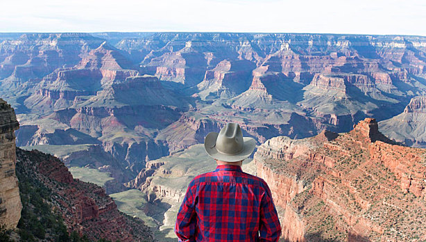 后视图,男人,戴着,方格,衬衫,牛仔帽,站立,上面,峡谷,观景