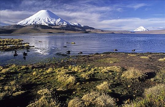 火山,拉乌卡国家公园,智利