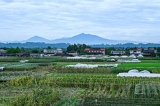 四川乐山夹江的宜居农村