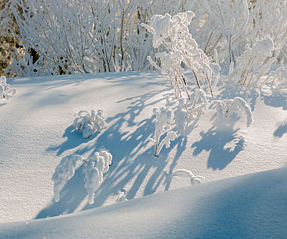 雪谷风光