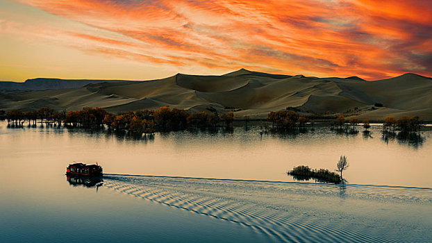 沙漠,湖泊,胡杨