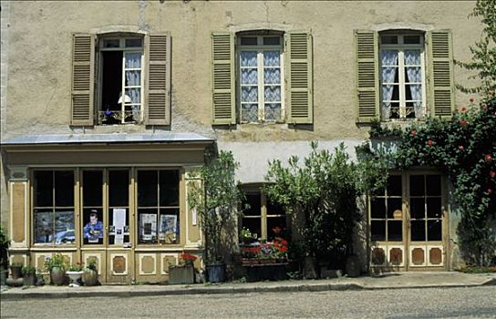 法国,勃艮第,卢瓦尔河,国家,古老,房子,橱窗