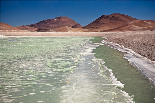 冰冻,泻湖,阿塔卡马沙漠,智利