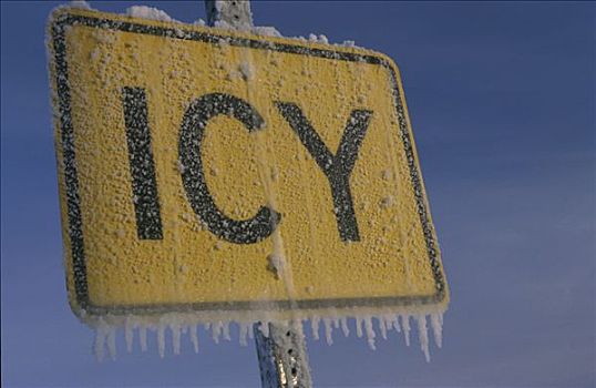 冰,路标,冬天,阿拉斯加