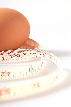 用尺子测量鸡蛋