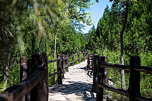 中国古典园林中的小路