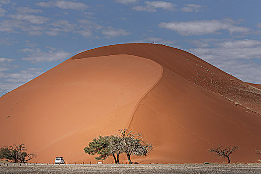 四个,轮子,卡车,停放,巨大,沙丘,索苏维来地区,国家公园,纳米比亚