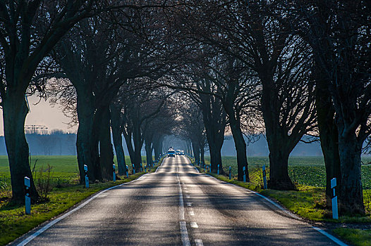 道路,乡间小路,靠近,梅克伦堡前波莫瑞州,德国,欧洲