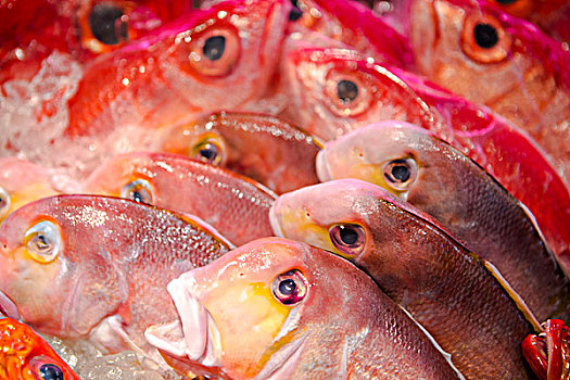 台湾着名的海鲜餐厅,冰柜上的新鲜海鲜,各种鱼类