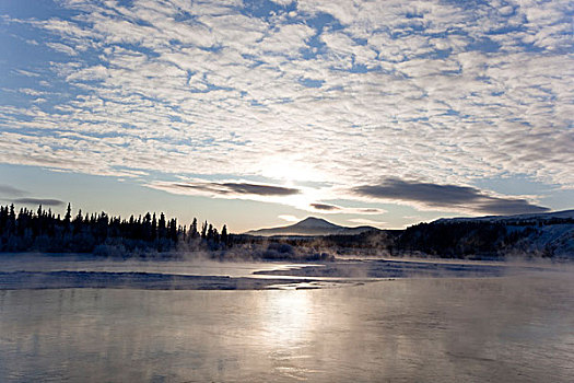冰,雾,冰冷,蒸汽,育空河,金角湾,靠近,育空地区,加拿大