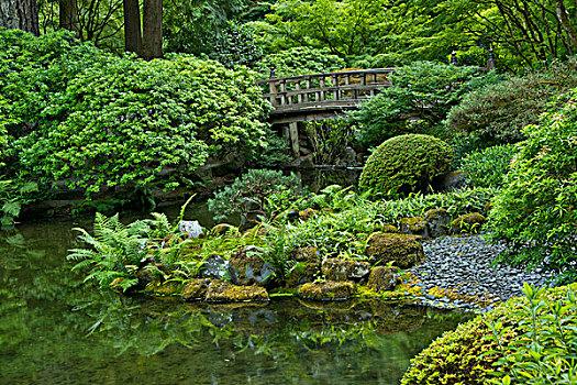 夏天,波特兰,日式庭园,俄勒冈,美国