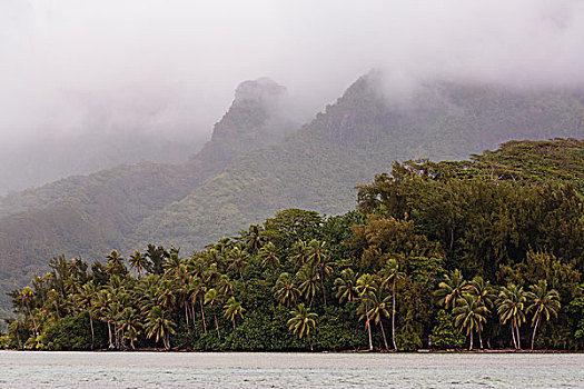 太平洋,法属玻利尼西亚,社会群岛,赖阿特阿岛,朦胧,风景,山,上方,棕榈树