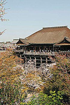 清水寺,东山,京都,日本
