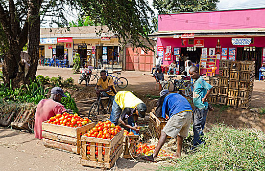 坦桑尼亚,蚊子,乡村,水果,香蕉,出售,旅游,许多,彩色