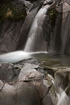 水池,瀑布,艾格蒙特国家公园,北岛,新西兰,大洋洲
