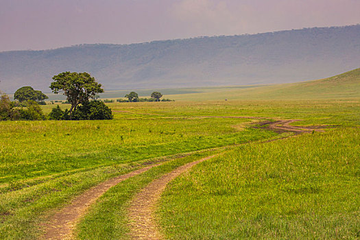 风景,上方,恩戈罗恩戈罗火山口,坦桑尼亚,东非,世界遗产