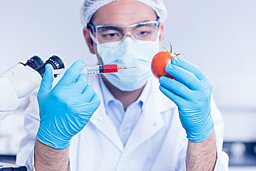 食物,科学家,注射,西红柿