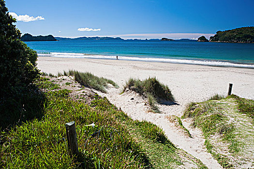 沿岸,海滩,半岛,新西兰