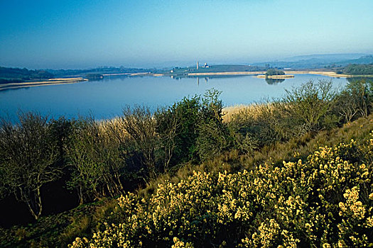 岛屿,弗马纳郡,爱尔兰,湖,风景