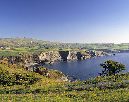威尔士,风景,湾,悬崖,高处