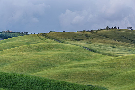 意大利托斯卡纳田园,奥尔恰谷著名波浪山丘黄昏景观