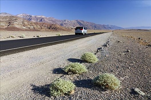 汽车,驾驶,公路,死谷,死亡谷国家公园,加利福尼亚,美国,北美