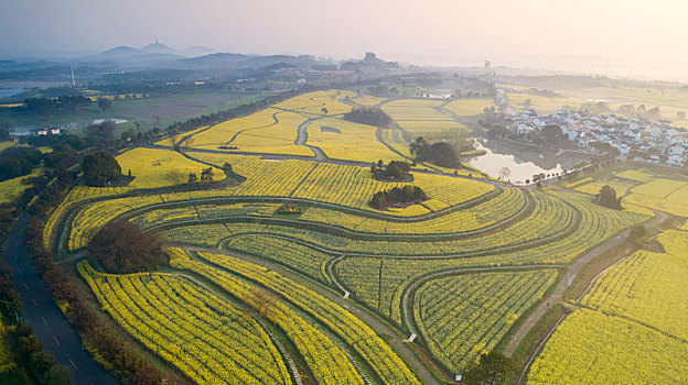 江苏南京,航拍桠溪,国际慢城,万亩油菜花海