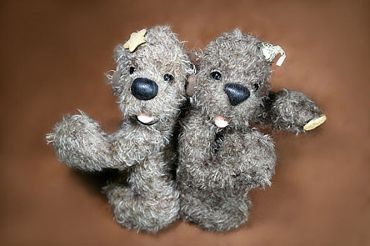 两个,泰迪熊,熊