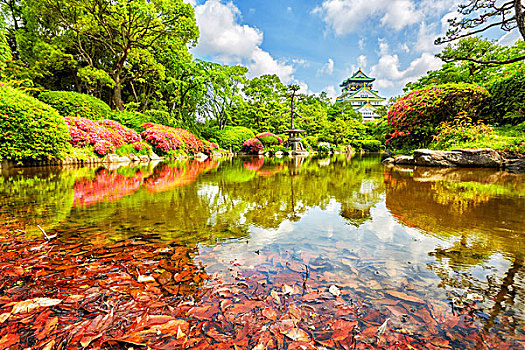 风景,大阪城,花园,大阪,日本