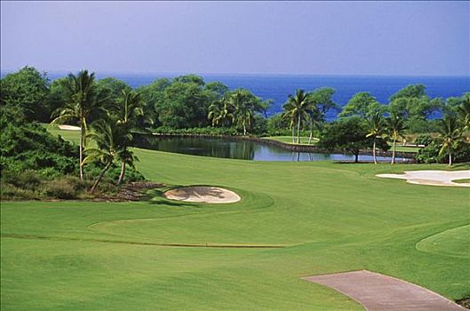 夏威夷,夏威夷大岛,南,高尔夫球场,洞