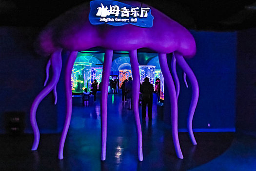上海海昌海洋公园水母馆