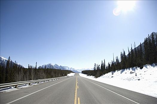 公路,班芙国家公园,加拿大,落矶山,艾伯塔省