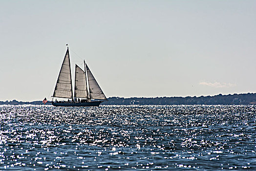 帆船,纽波特,美国