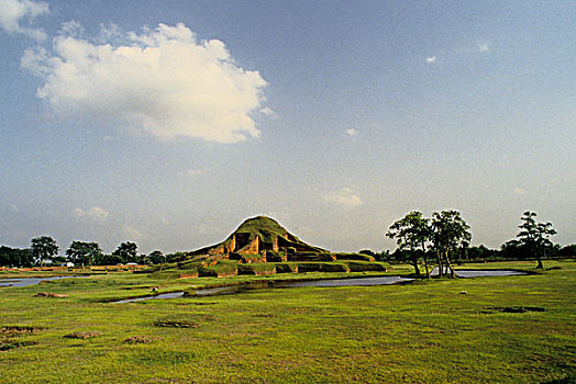 佛教,寺院,旅游胜地,北方,孟加拉,国王,朋友,七世纪,乡村,西部,地区,考古,发现