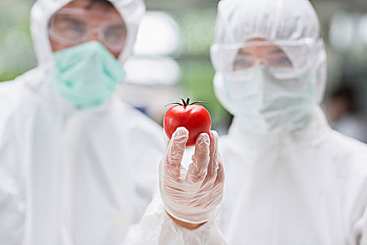 两个,学生,站立,实验室,看,西红柿