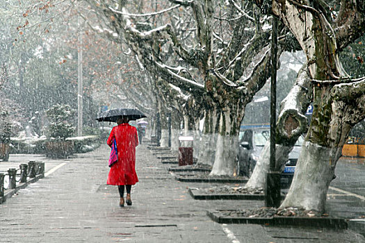 杭州,西湖,树木,树,树林,雪,水墨画,朦胧,仙境,冬天,平静,姿态,断桥,下雪