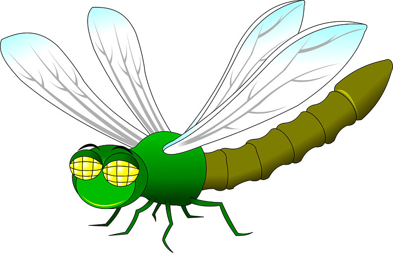 蜻蜓,矢量,插画,绿色,黄色眼睛,白色背景_高清图片_全景视觉
