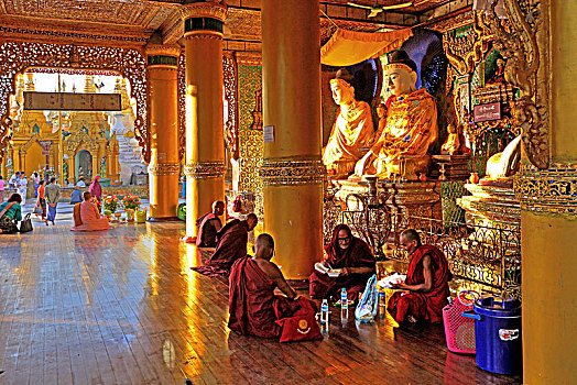 僧侣,正面,一个,圣坛,庙宇,大金塔,仰光,缅甸