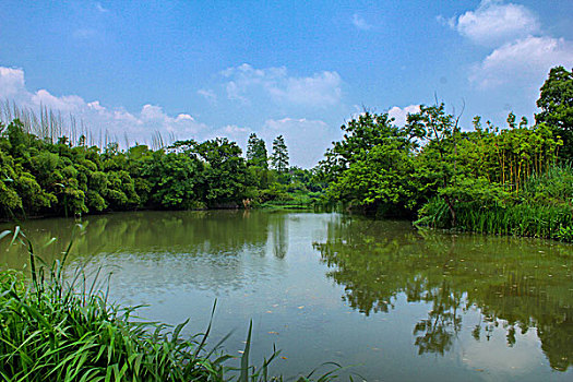 杭州西溪湿地风光