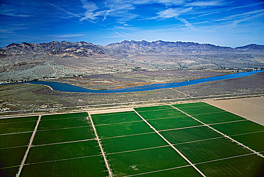 农业,航拍,长方形,地点,科罗拉多河,流动,山,背景,靠近,亚利桑那,美国