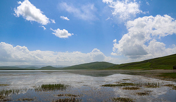 甘肃省甘南,高原明珠尕海湿地风光美