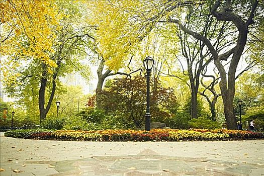 路灯柱,公园,中央公园,曼哈顿,纽约,美国