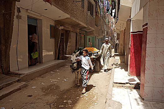 男孩,父亲,销售,水果,穷,居民区,西部,开罗,埃及,五月,2007年