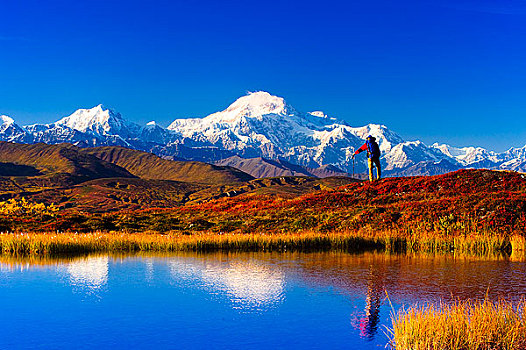 一个,男人,背包旅行,山,麦金利山,背景,德纳里峰,州立公园,阿拉斯加