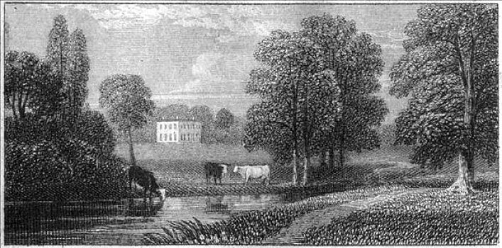 绿青鳕,公园,伯克郡,19世纪