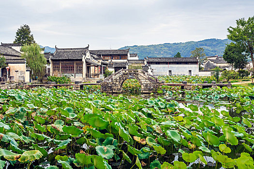 呈坎古村落,中国安徽省黄山市徽州区