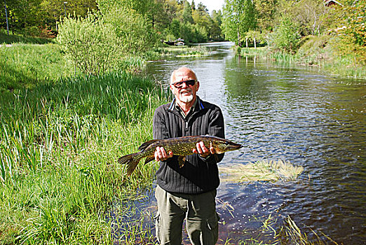 钓鱼,河,风景,瑞典